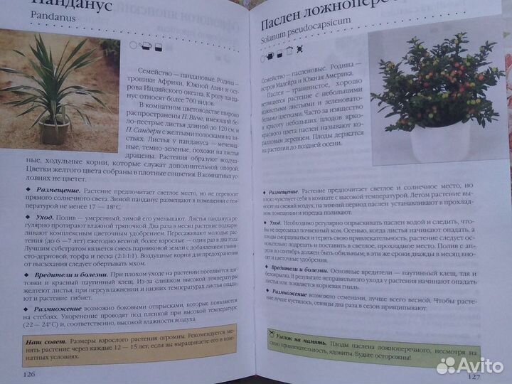 Книга о комнатных растениях