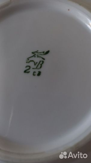 Маслёнка вербилки, радиоволны