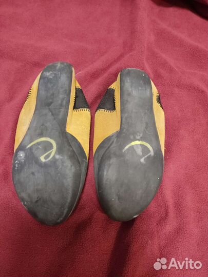 Скальники детские