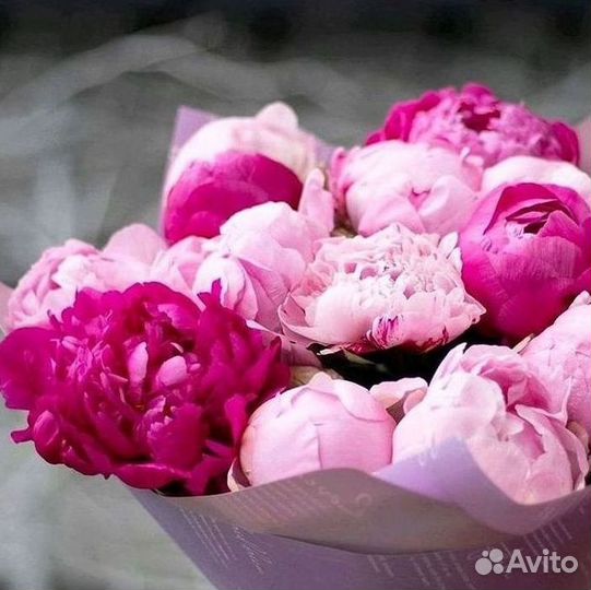 Пионы Букет пионов Доставка цветов