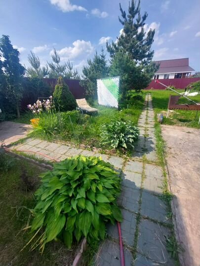 Дача 64 м² на участке 12 сот.