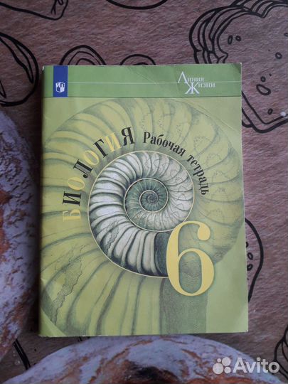 Рабочая тетрадь по биологии 6 класс