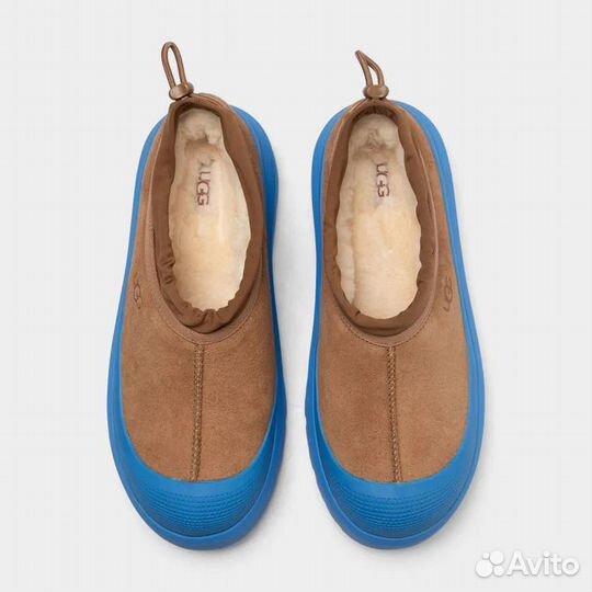 Ugg Tasman