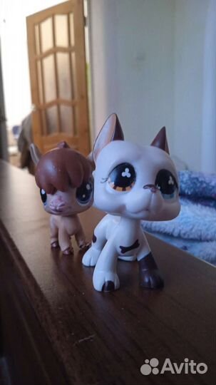 Littlest Pet Shop