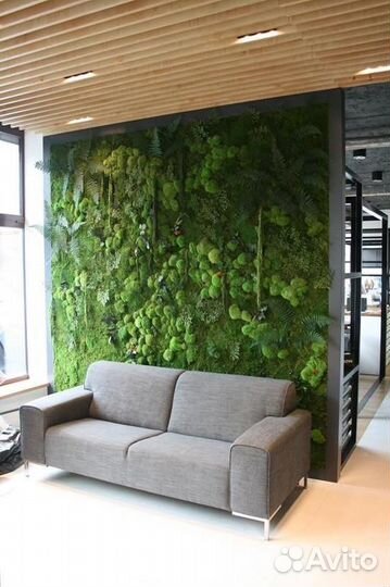 Картина из мха в гостиную