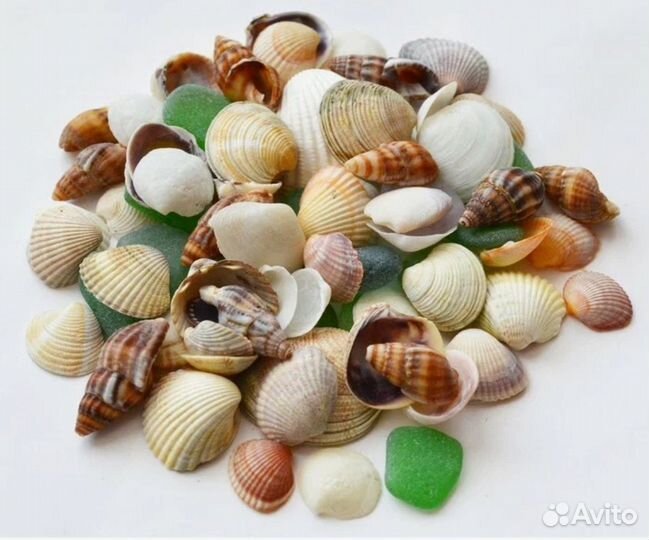 Набор ракушек для декора