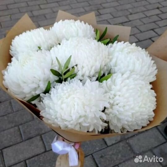 5 хризантем 11 Хризанетм Букет Хризантемы