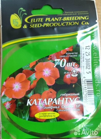 Семена катарантус
