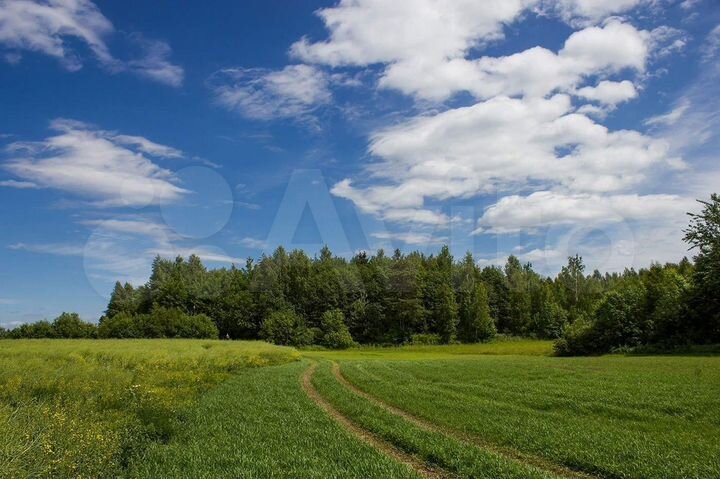 Участок 14,9 сот. (ИЖС)