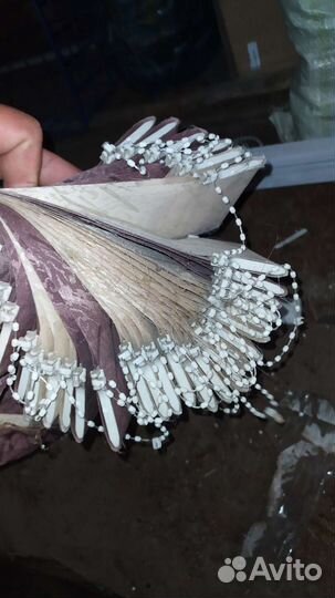 Жалюзи вертикальные 240*270