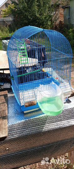Клетка для попугая