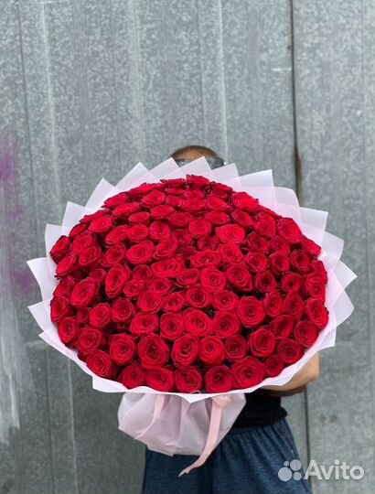Розы 101 штук