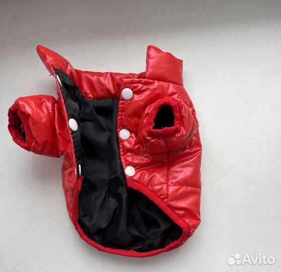 Куртка для собак