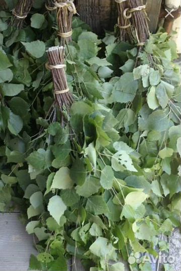 Веники из Чувашии