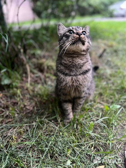 Меня бросили