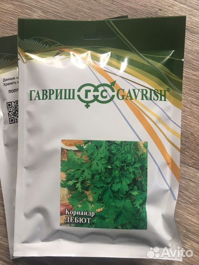 Семена кинзы кориандра сорт Дебют