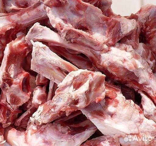 Мясо и кости для собак