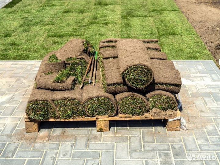 Укладка рулонного газона