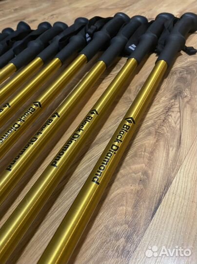 Прокат треккинговых палок Black Diamond