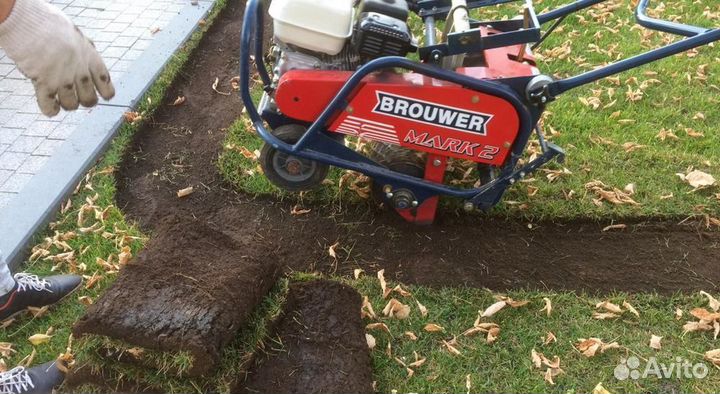 Укладка и продажа газона