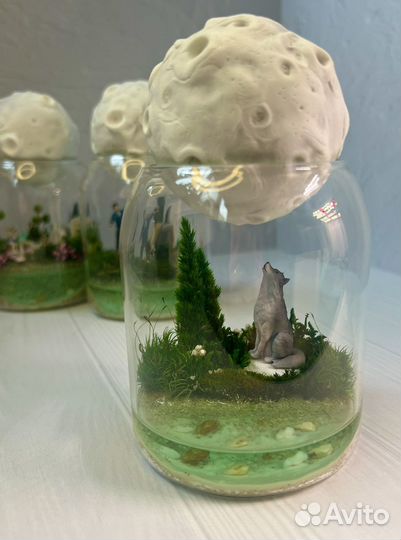 Флорариум Моссариум Подарок