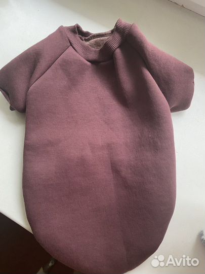 Одежда для маленьких собак