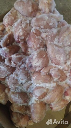 Мясо, готовые рационы, лакомства для собак