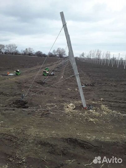 Сады под ключ