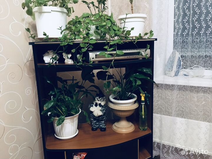 Тумба под тв,Стенка,Комод