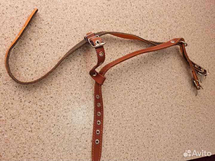 Шлейка кожаная новая