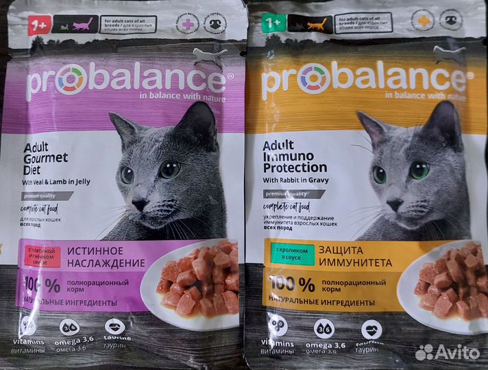 Сухой и влажный корм для кошек