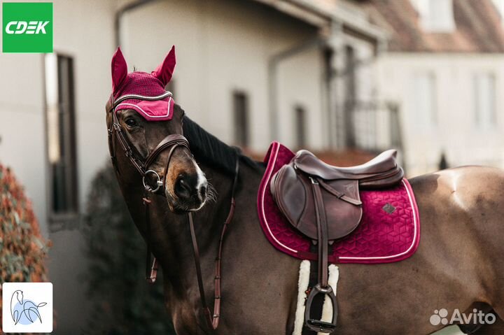 Вальтрап Velvet Конкур от Kentucky - Фуксия