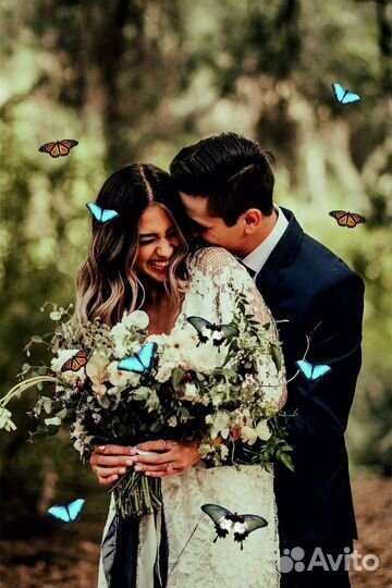 Салют из Живых Тропических Бабочек с/б-19