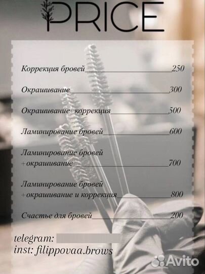 Мастер бровист