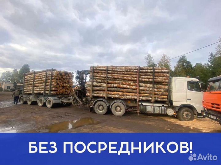 Дрова Качественные