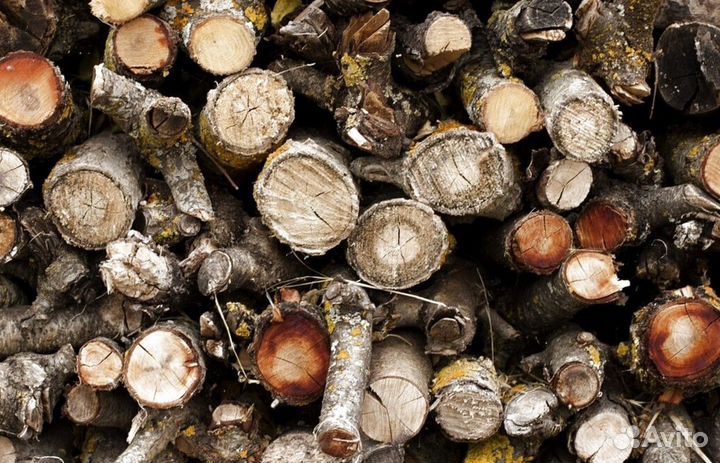 Дрова естесвенной влажности