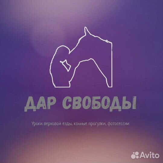 Конные прогулки