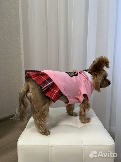 Кофта для собаки