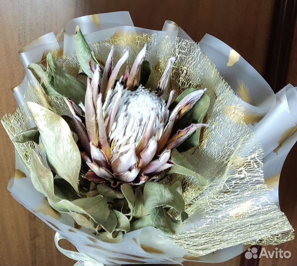 Сухоцвет Протея Африканская роза