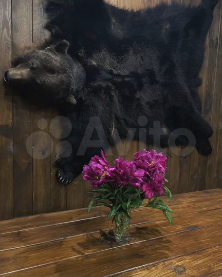 Дом 30 м² на участке 100 сот.