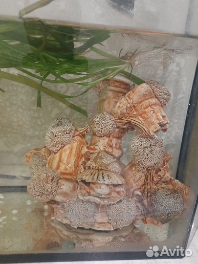Декор для аквариума