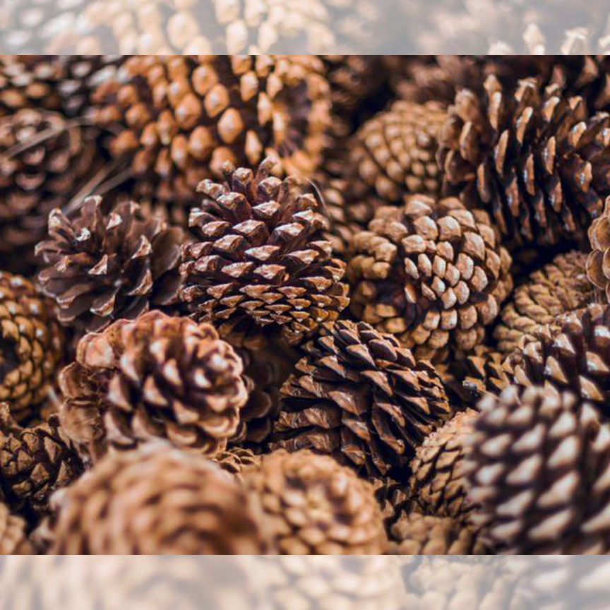 1.JozHcbaBimWx30hqhzlStQPSjmNl1IpjArGOY7HfSGpx1JCnfBKFZw.lctuof55k_yvnZi8vPsMl7b40LQebjC4HIWaUBYywiQ?cqp\u003d2.31EmCLg6ik3oatt1ttbFq_ajuGsz9wCshVqsaNgtLVVqtiwIcdxsWidTBGP4W2gjZpwuVqcdzwQCR5DnUbaoBbU1