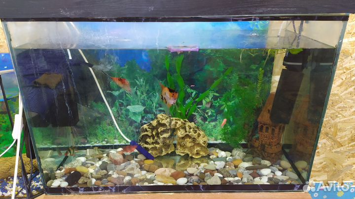 Аквариум