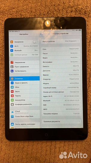 iPad mini cellular