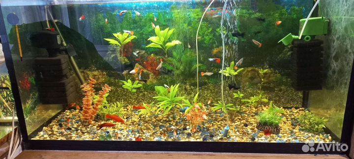 Аквариум с тумбой 200литров