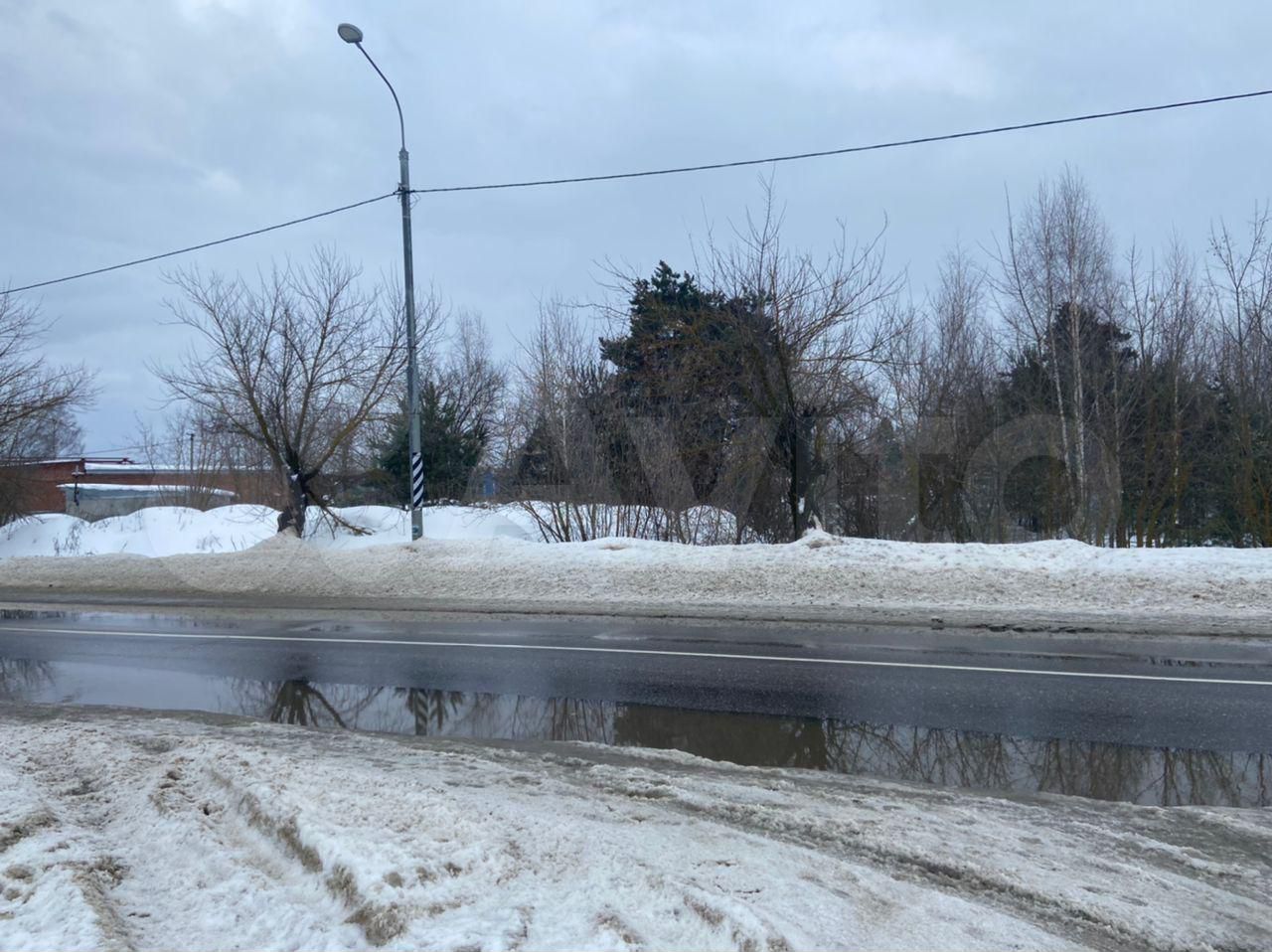 Цус мир кривандино