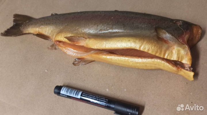 Рыба свежемороженая в ассортименте