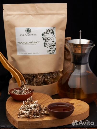 Исландский мох (большая)