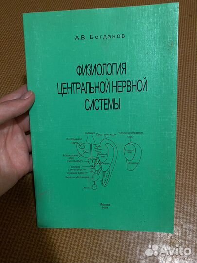 А.В.Богданов Физиологоя цнс