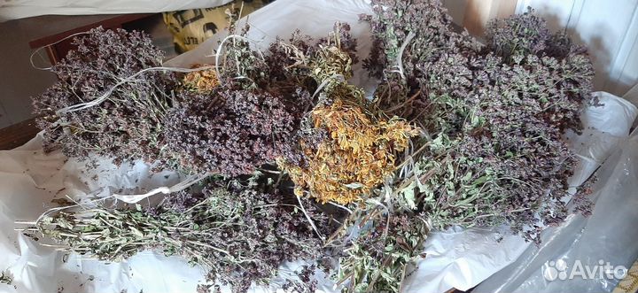 Душица сушеная